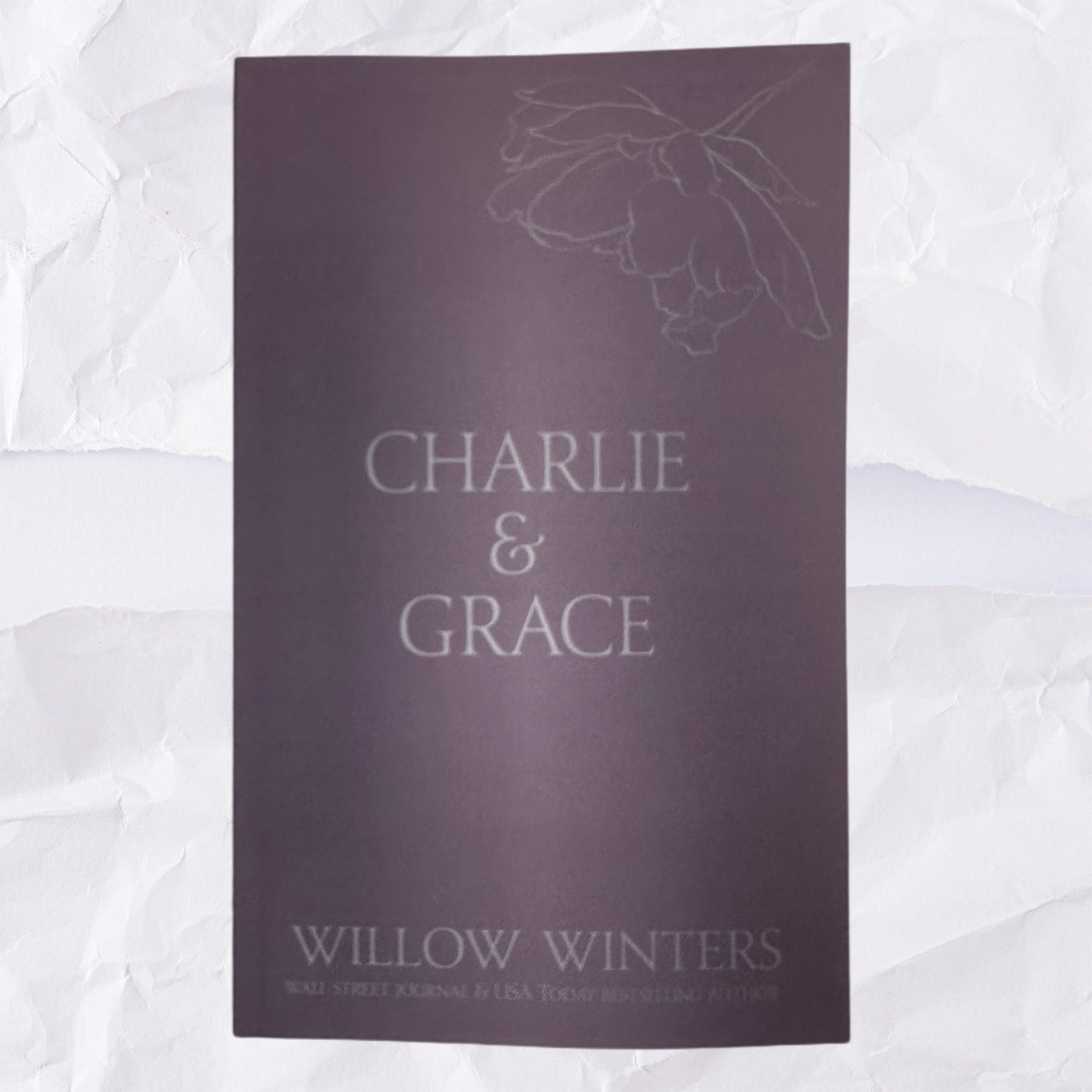 18 Charlie And Grace Discreet Series By Willow Winters A Thousand Lives 6185