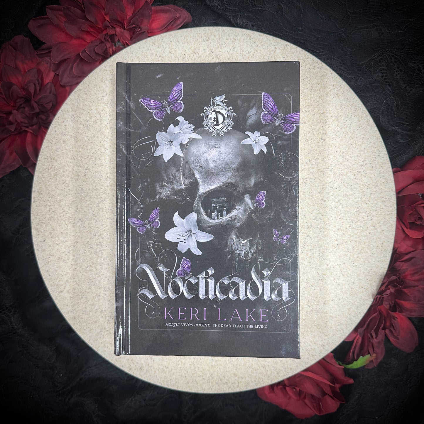 Nocticadia by Keri Lake