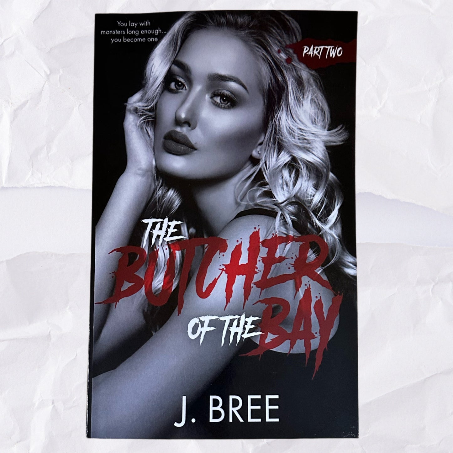 The Butcher of the Bay: Part Two (Mounts Bay Saga #2) by J. Bree