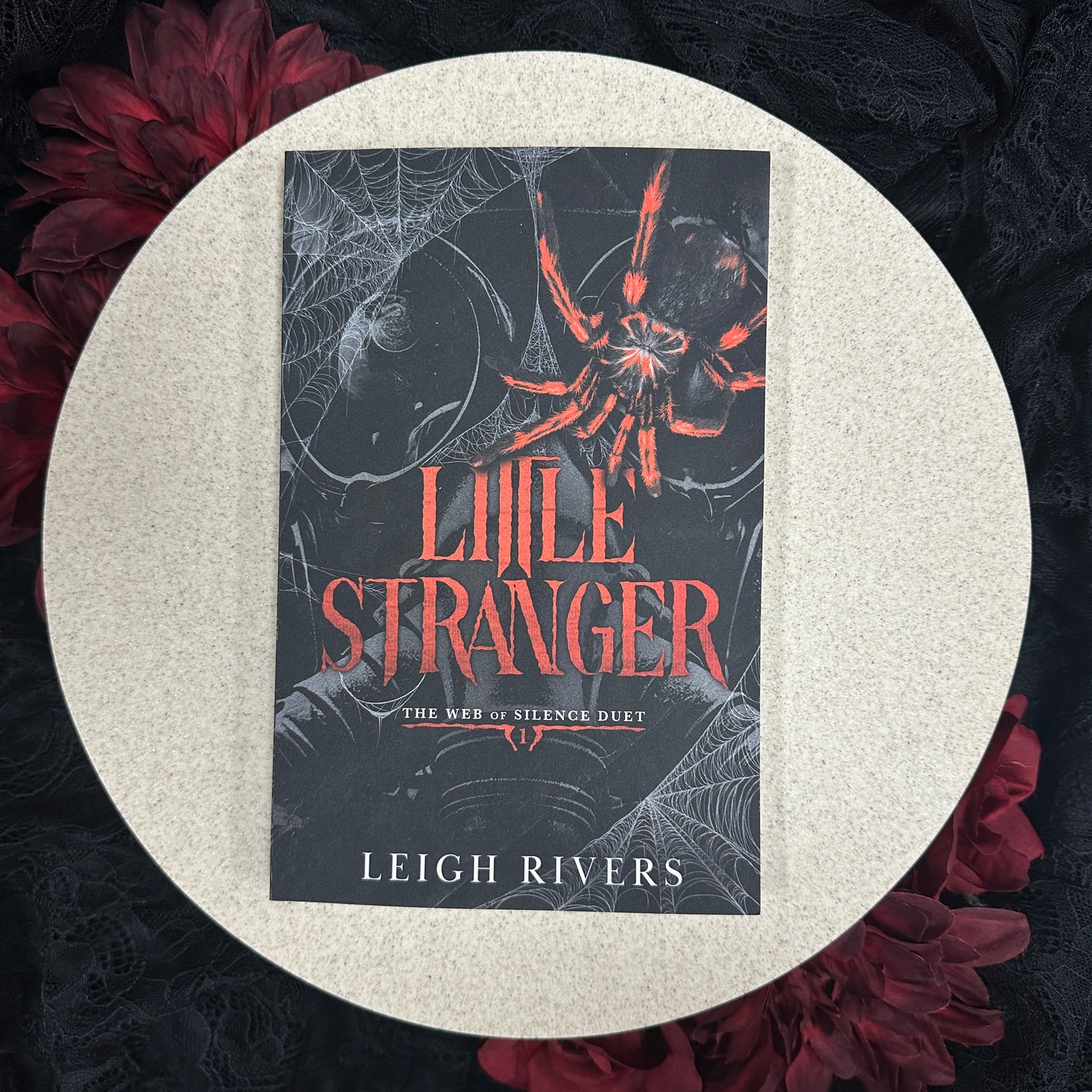 Little Stranger (The Web of Silence Duet #1) by Leigh Rivers