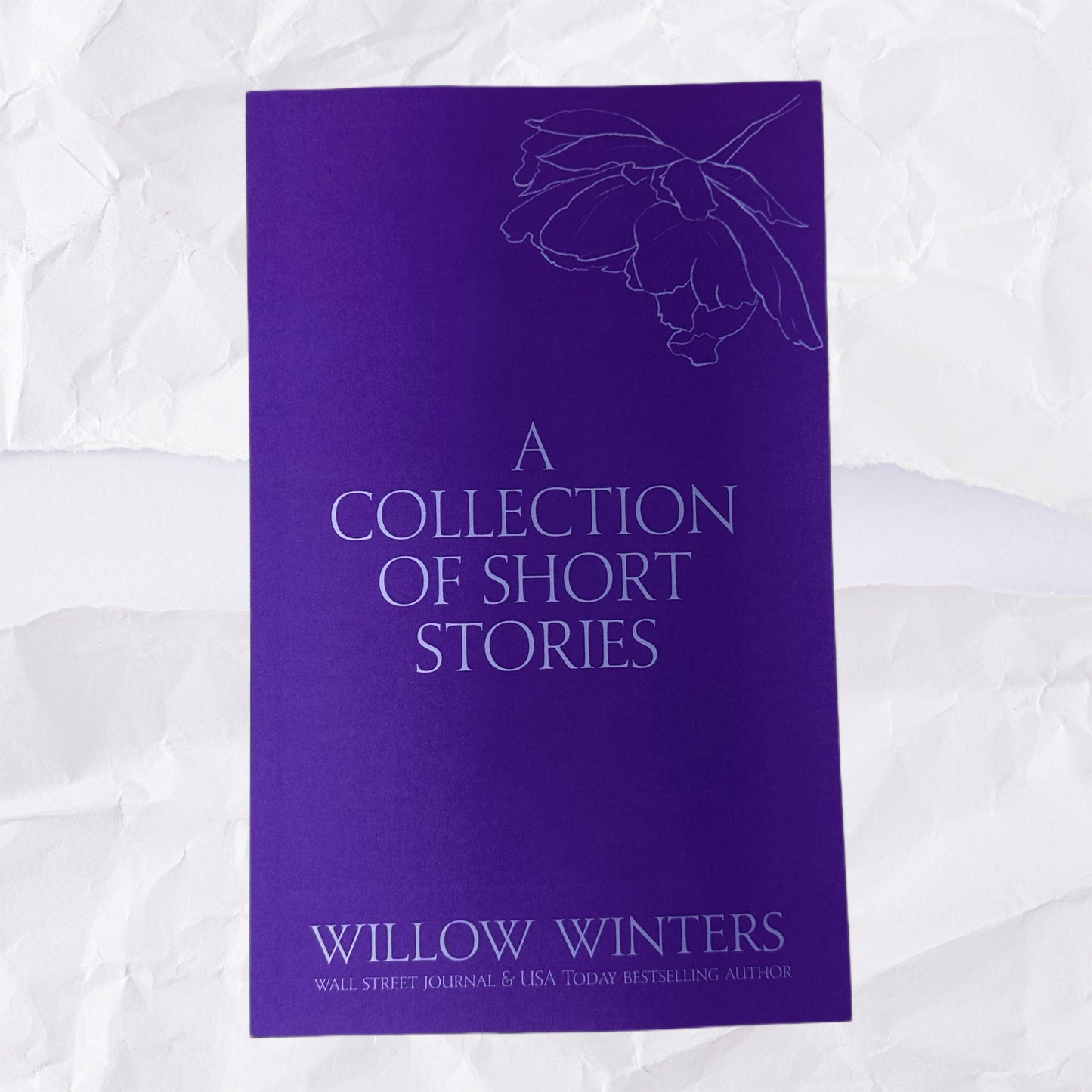 A Collection of Short Stories #1 - Don't Let Go: Discreet Series by Willow Winters