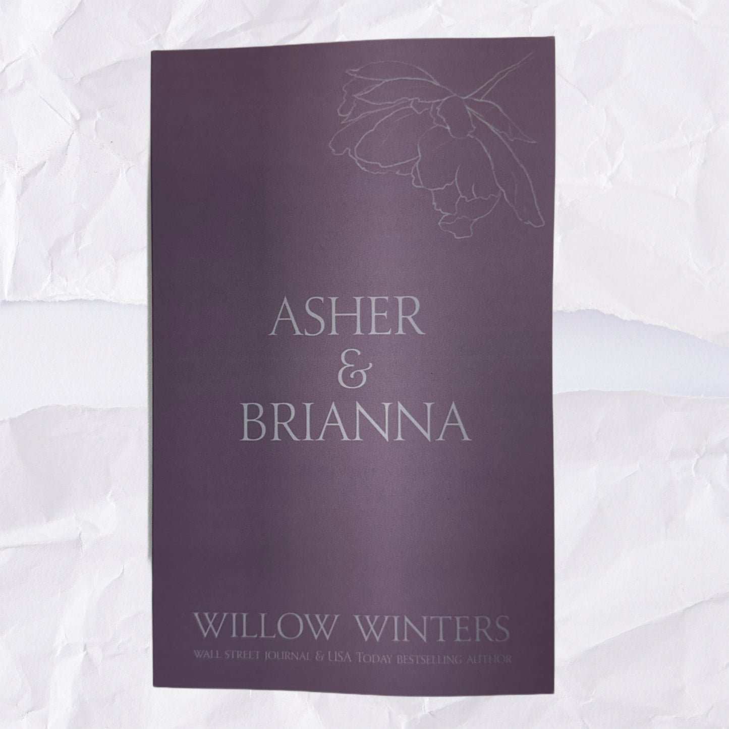 52) Asher & Brianna: Discreet Series by Willow Winters