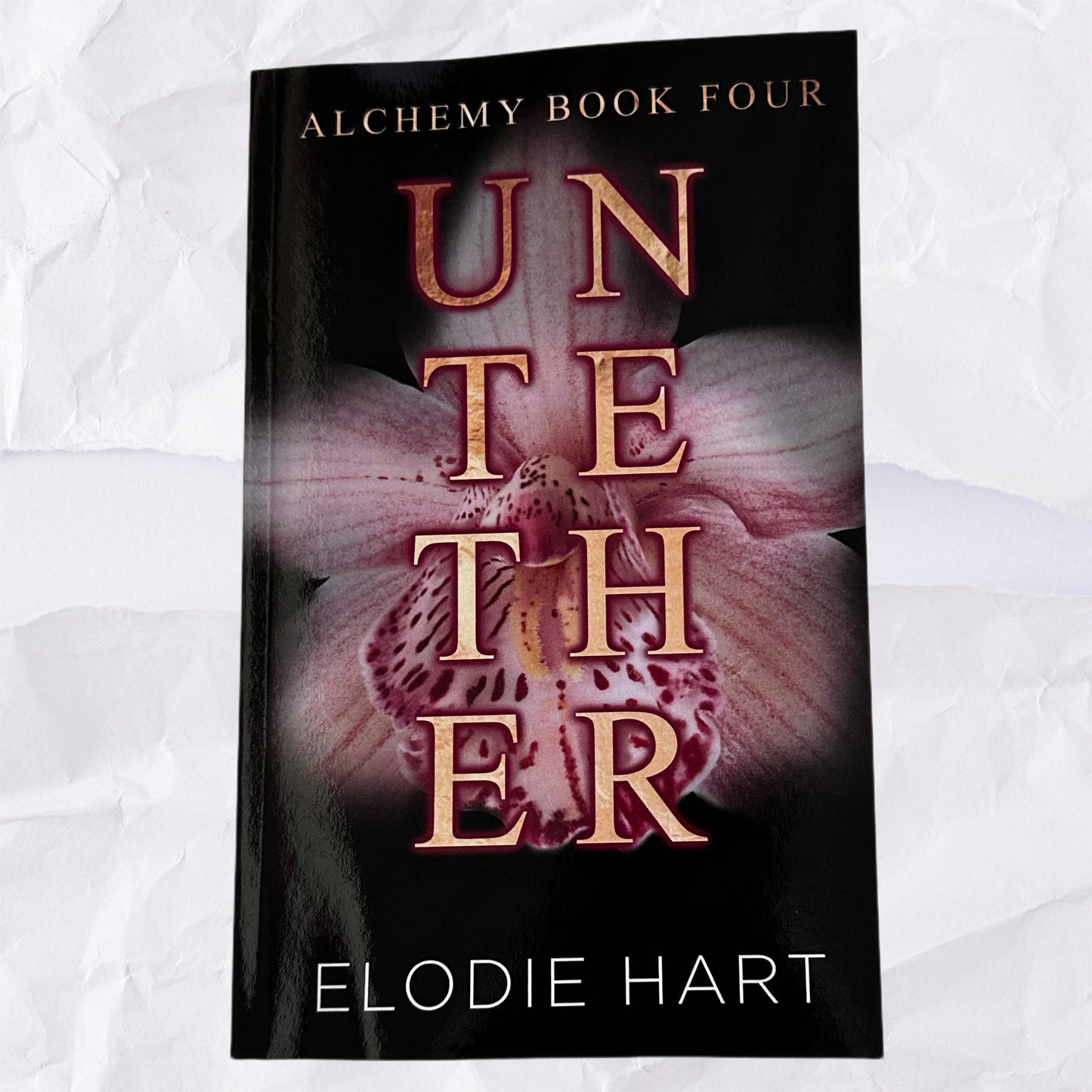 Untether (Alchemy #4) by Elodie Hart