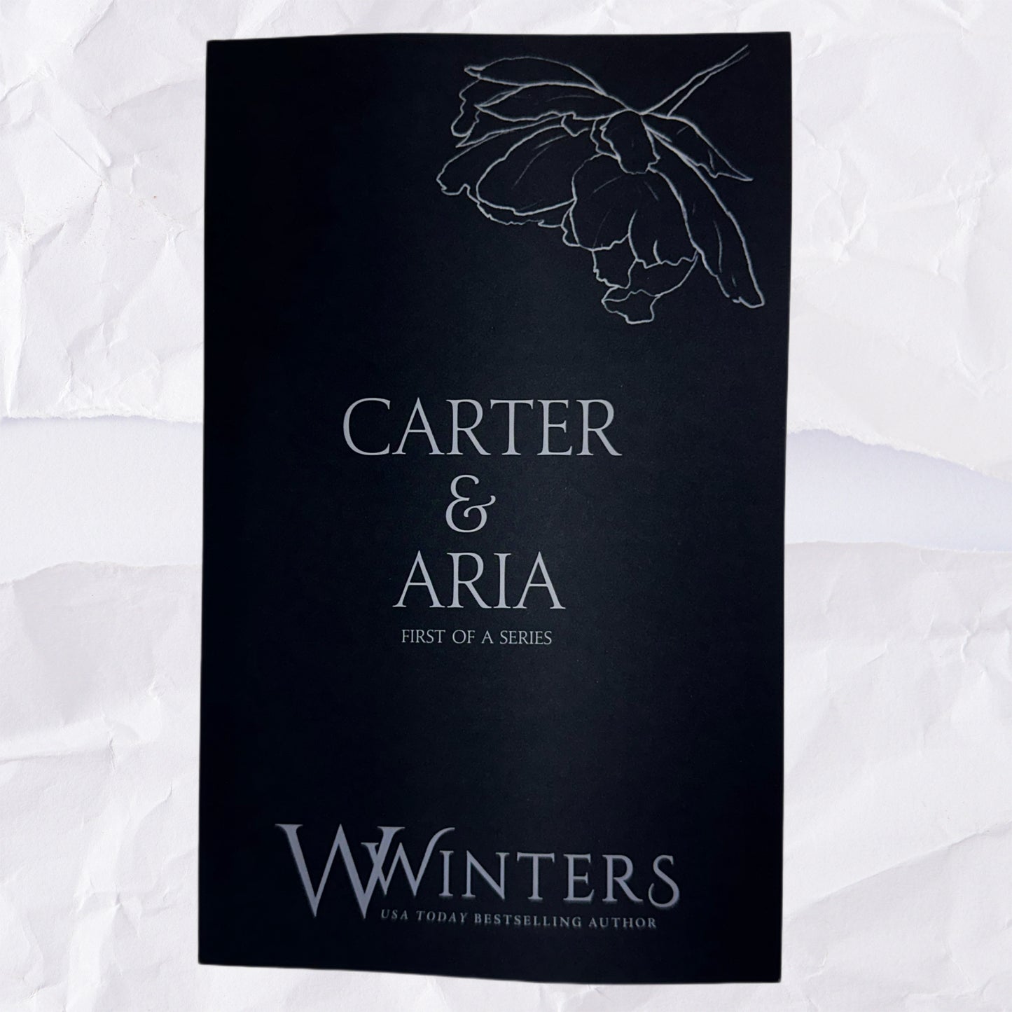 31) Carter & Aria - First of a Series: Discreet Series by Willow Winters
