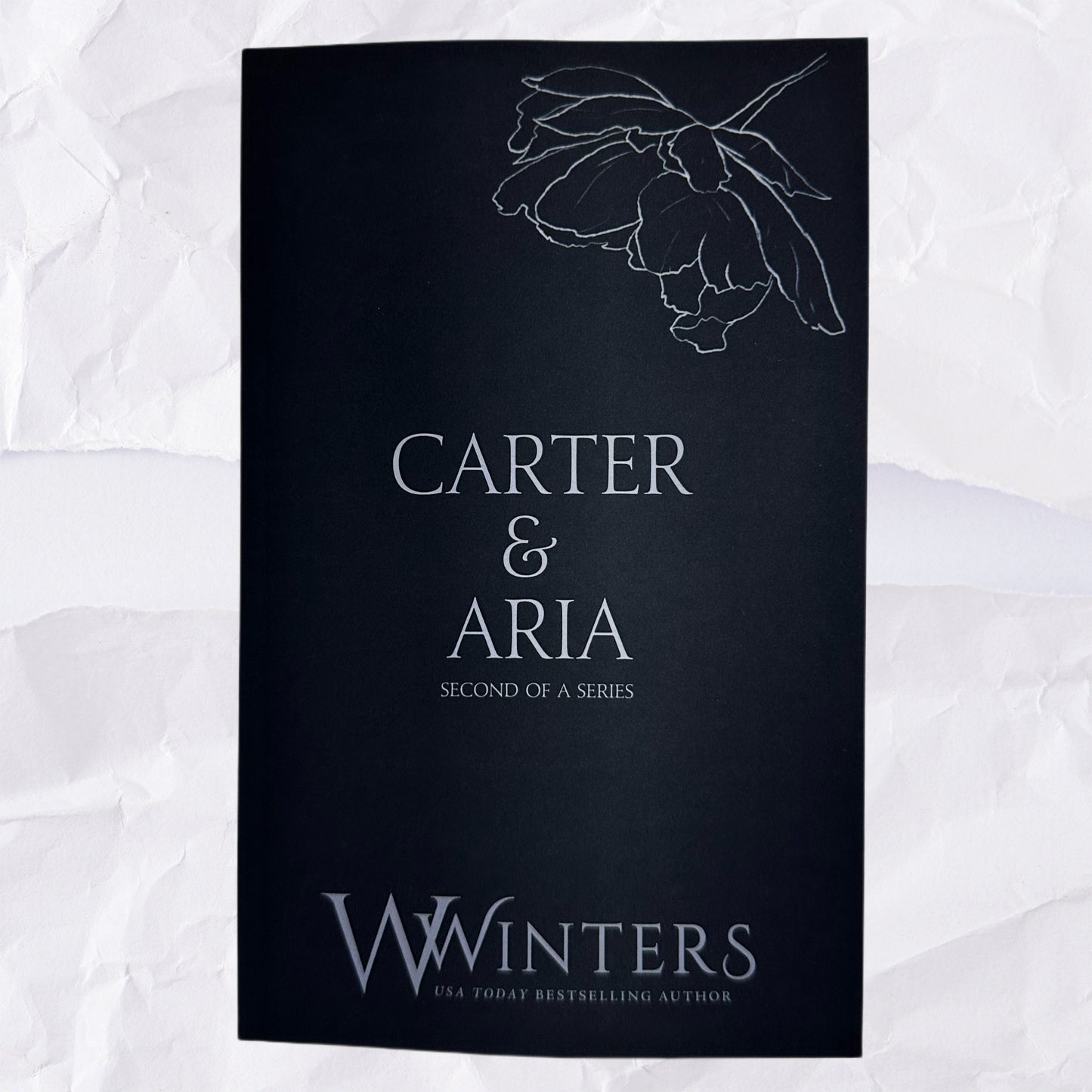 32) Carter & Aria - Second of a Series: Discreet Series by Willow Winters