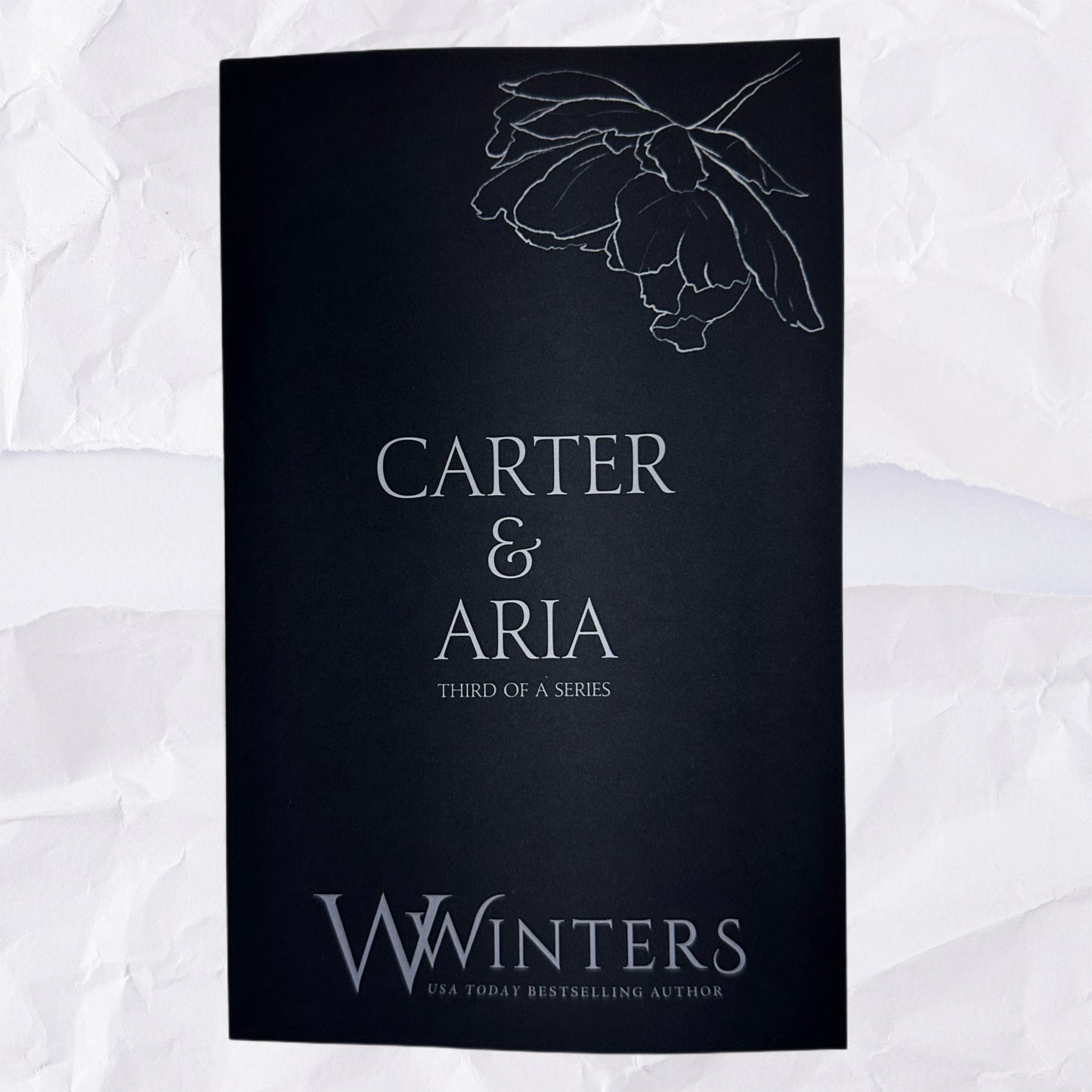 33) Carter & Aria - Third of a Series: Discreet Series by Willow Winters