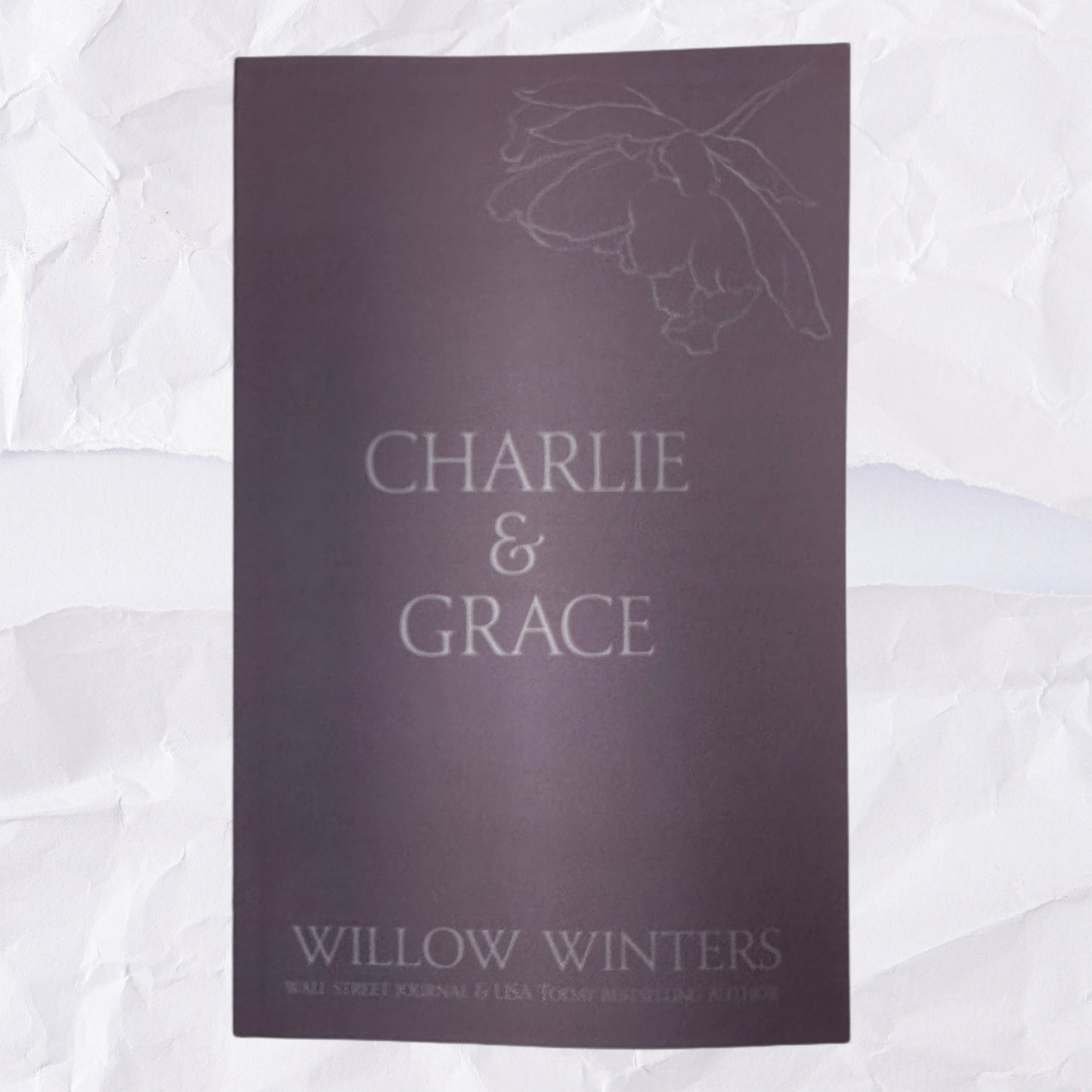 18) Charlie & Grace: Discreet Series by Willow Winters