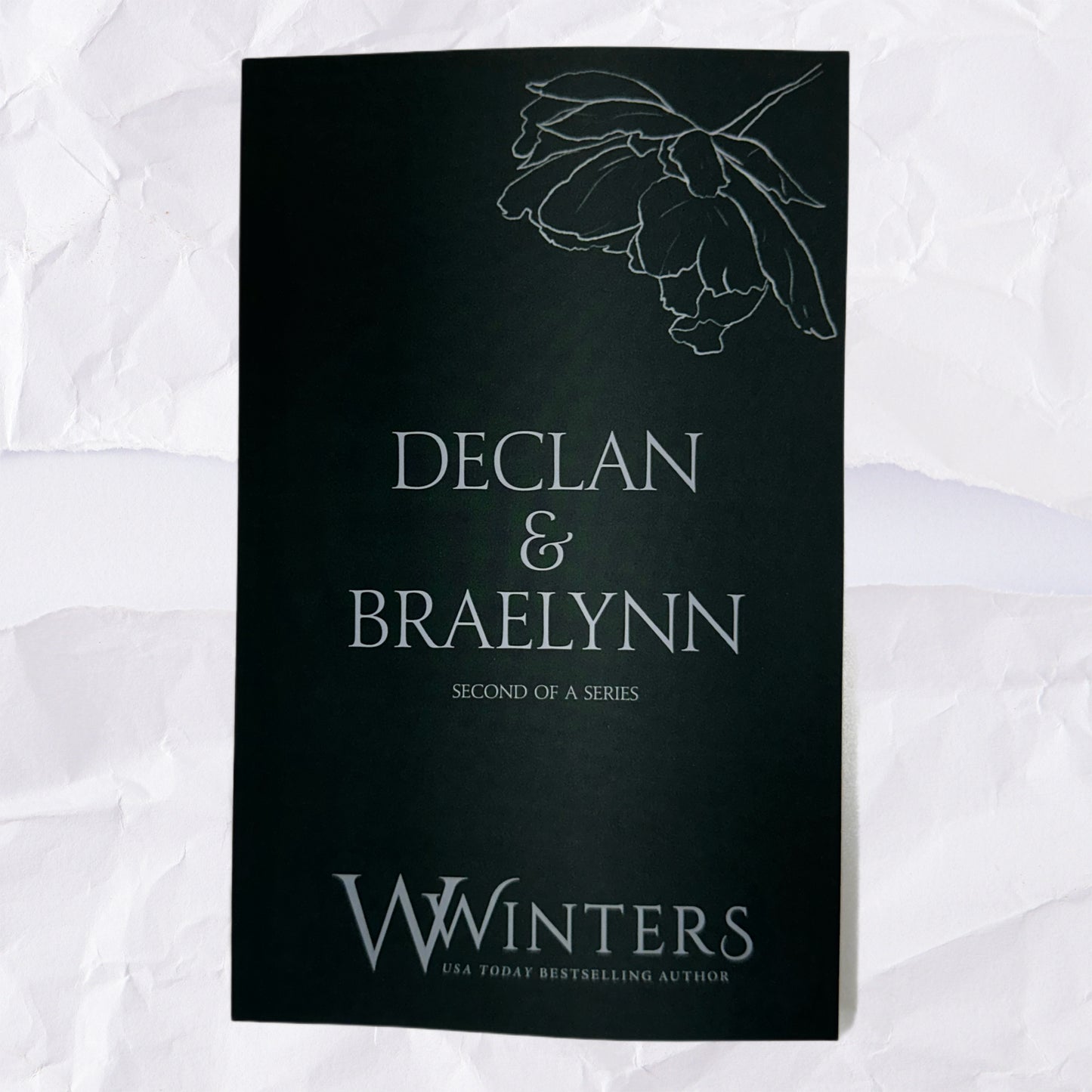49) Declan & Braelynn - Second of a Series: Discreet Series by Willow Winters