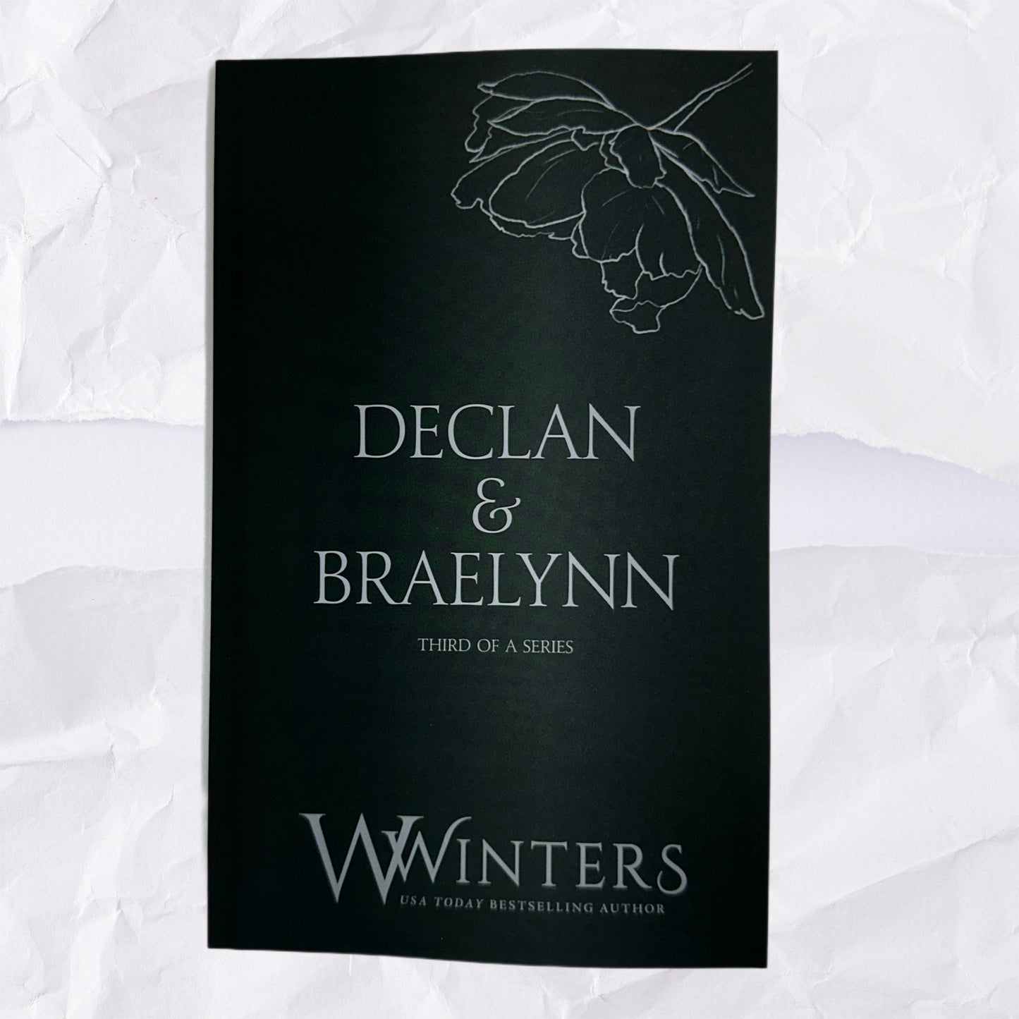 50) Declan & Braelynn - Third of a Series: Discreet Series by Willow Winters