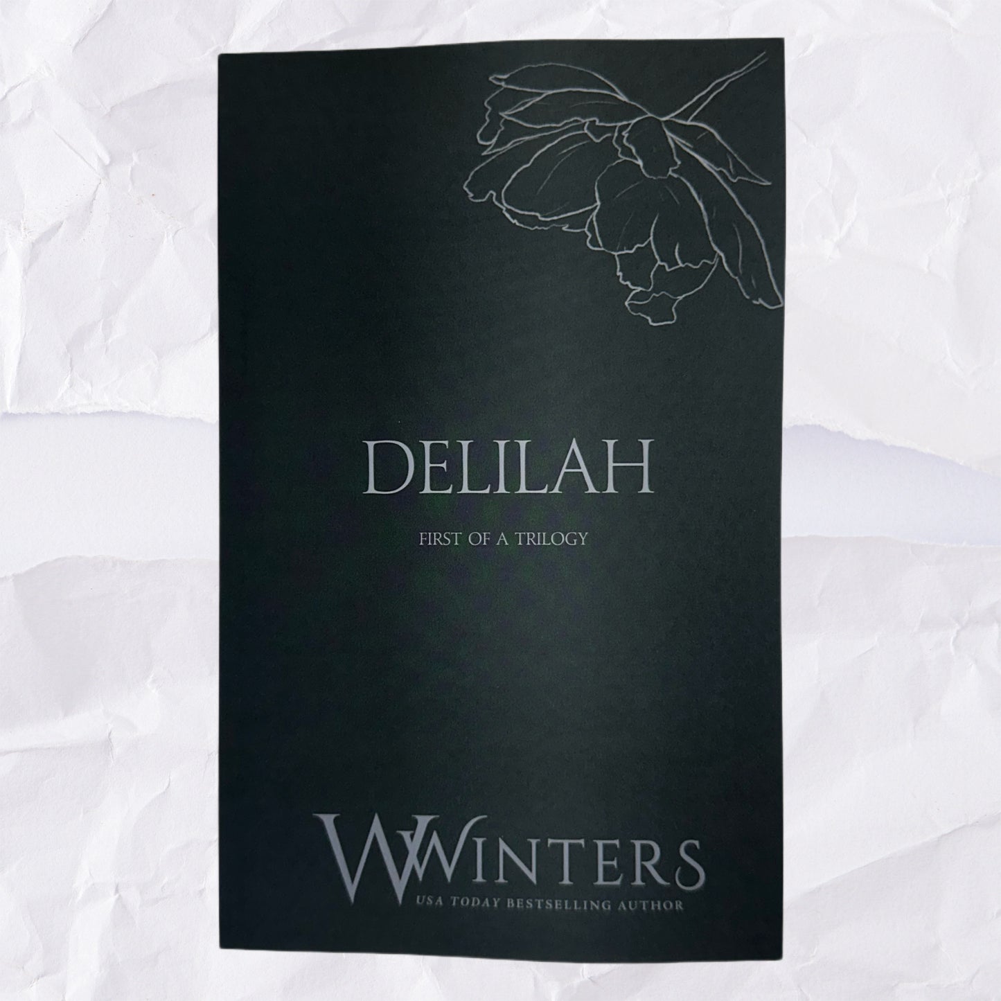 42) Delilah - First of a Trilogy: Discreet Series by Willow Winters
