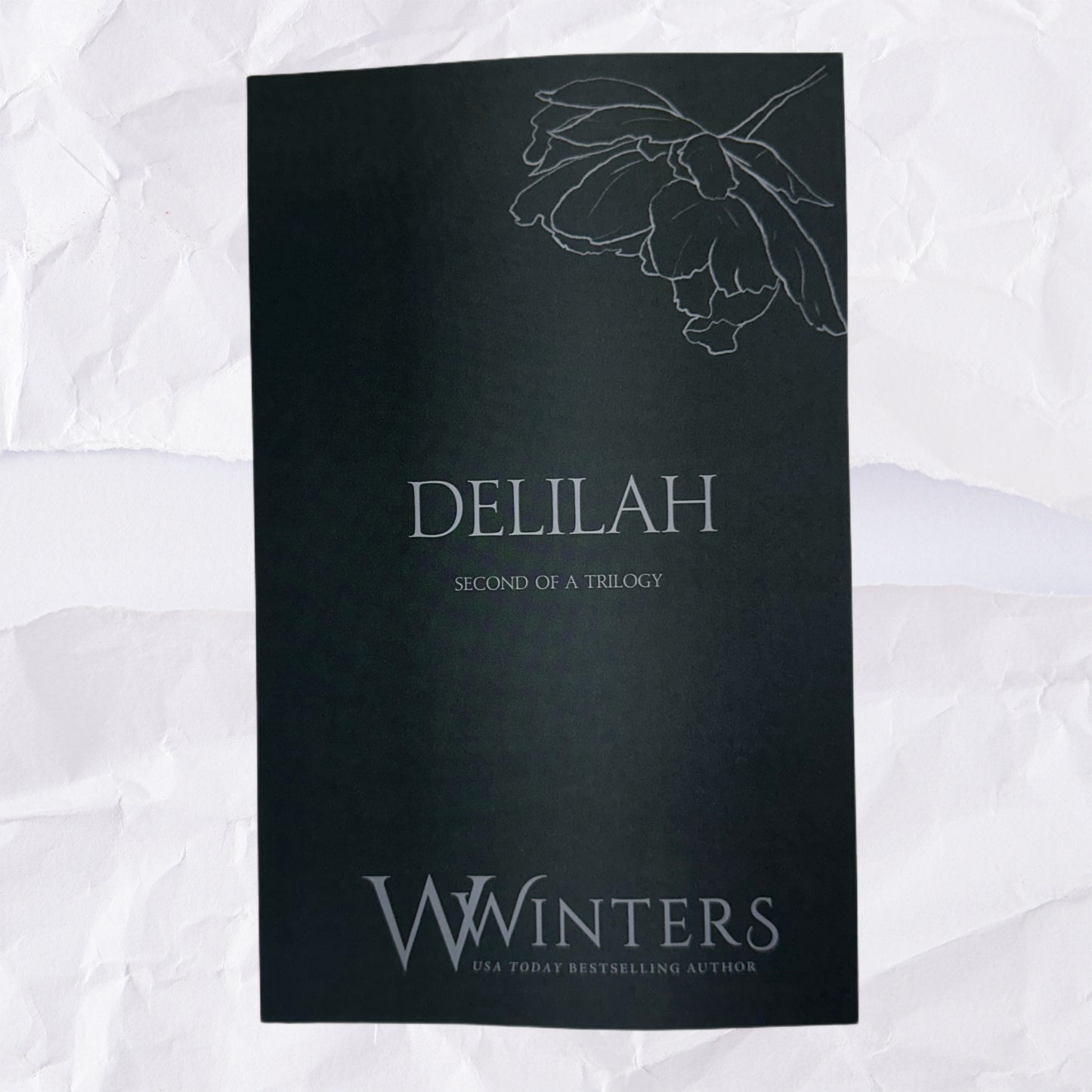 43) Delilah - Second of a Trilogy: Discreet Series by Willow Winters