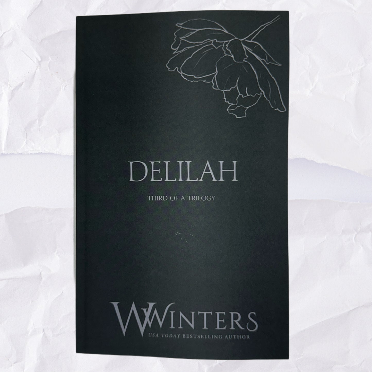 44) Delilah - Third of a Trilogy: Discreet Series by Willow Winters