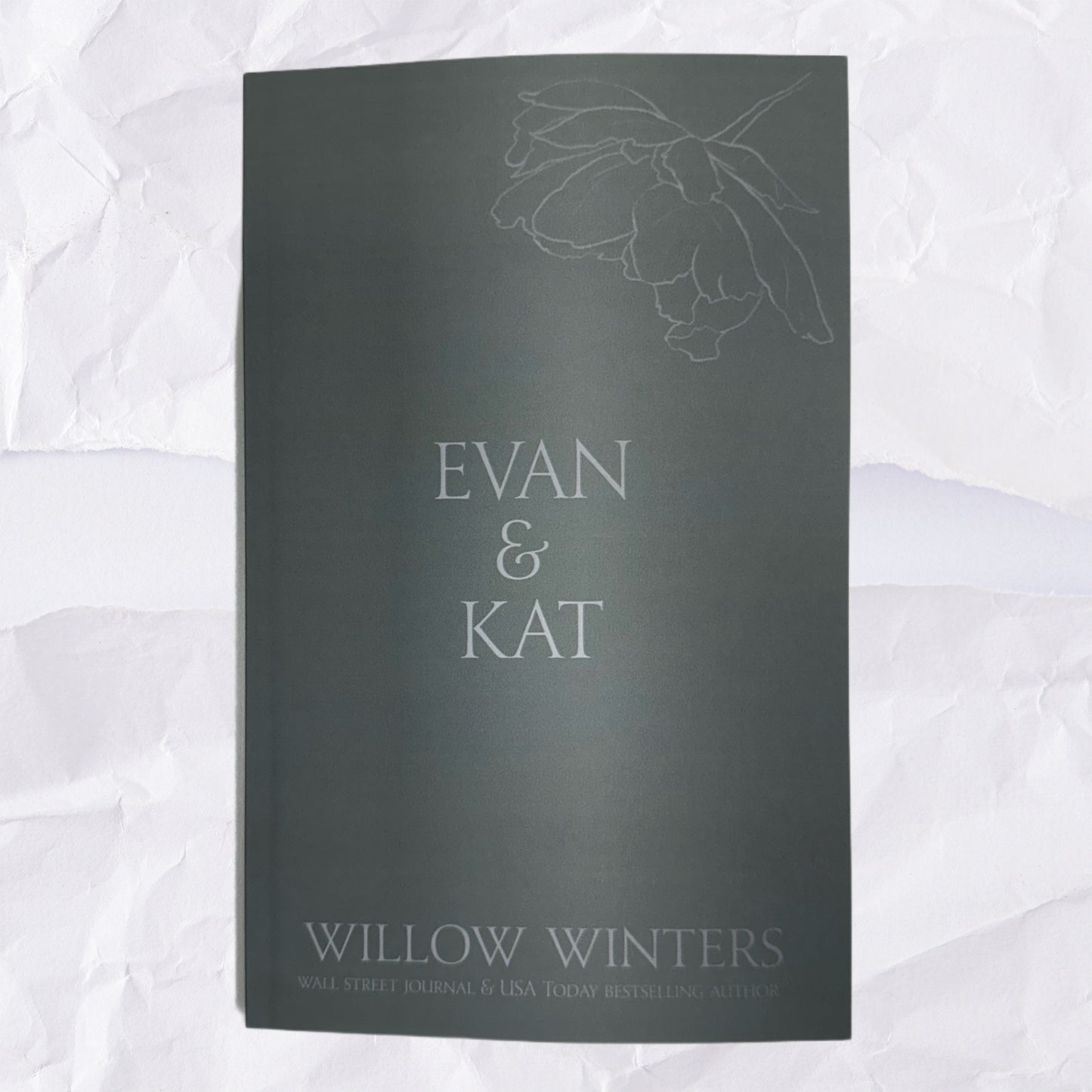 25) Evan & Kat 2: Discreet Series by Willow Winters