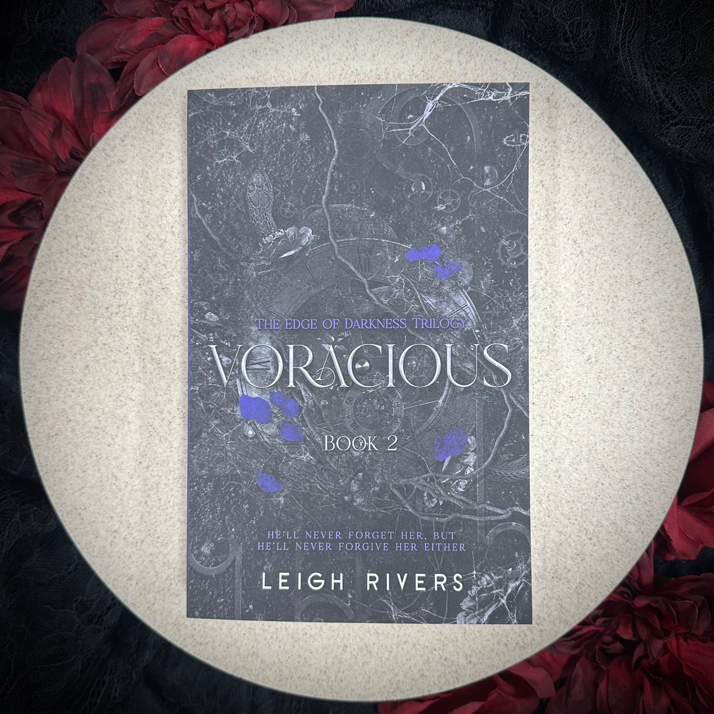 Voracious (The Edge of Darkness #2) by Leigh Rivers