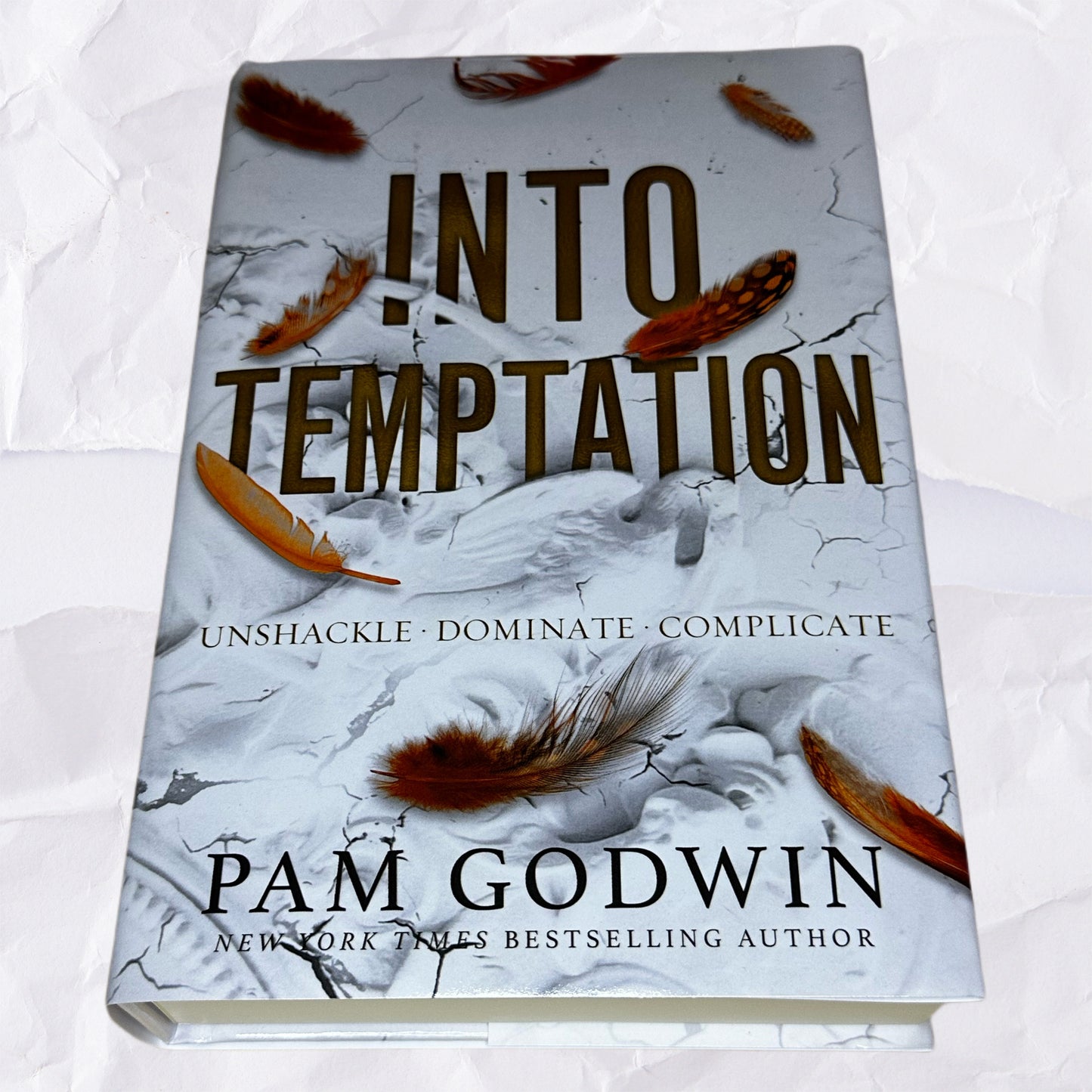 Into Temptation by Pam Godwin - Hardcover