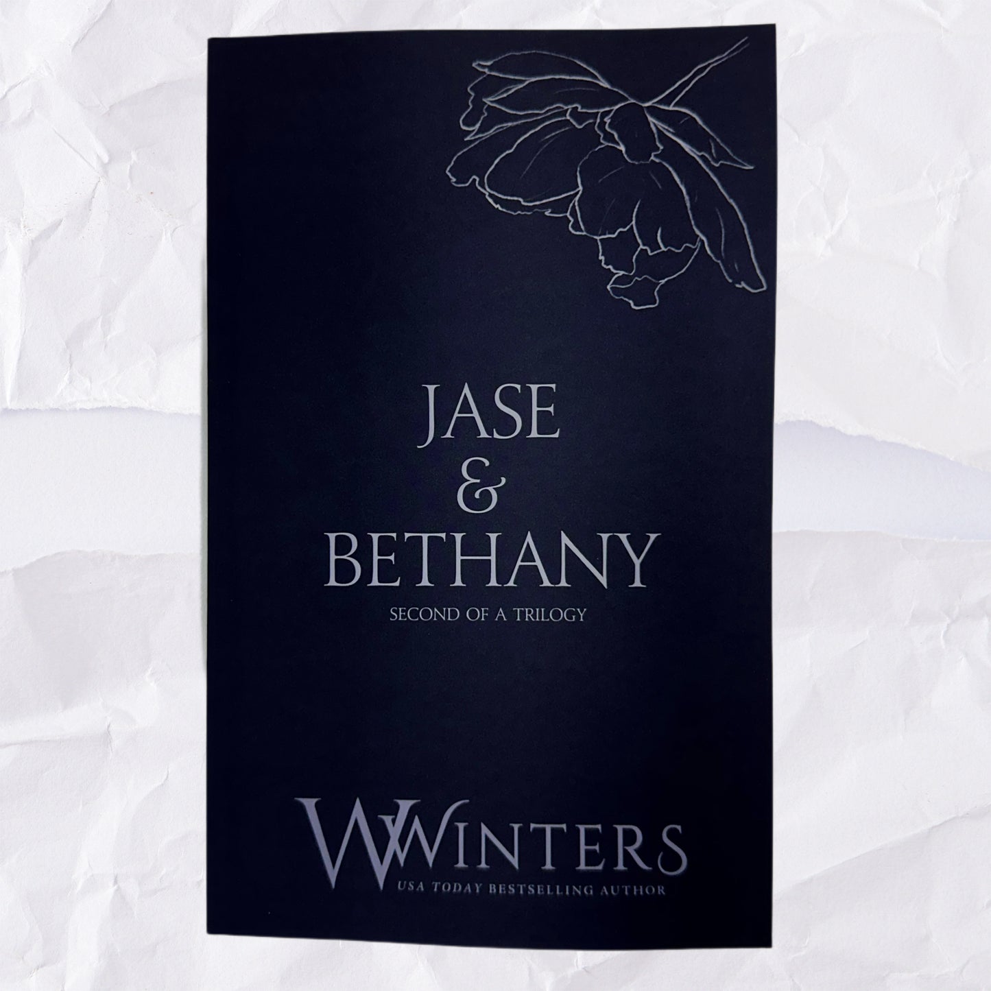 36) Jase & Bethany - Second of a Trilogy: Discreet Series by Willow Winters