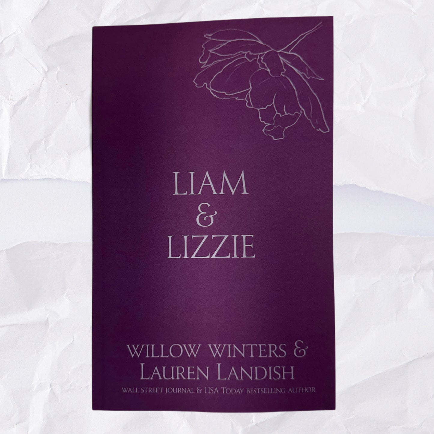 12) Liam & Lizzie: Discreet Series by Willow Winters