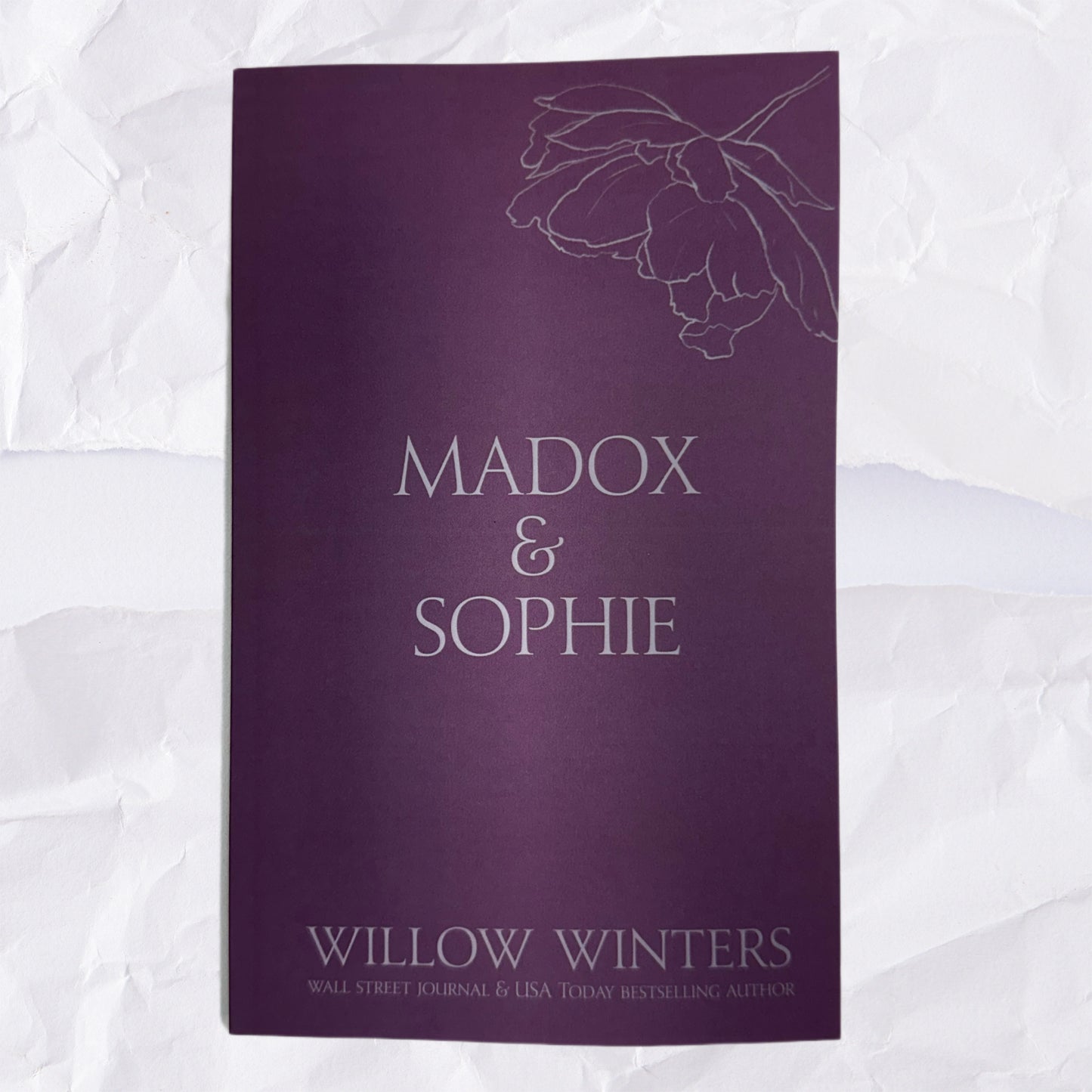 17) Madox & Sophie: Discreet Series by Willow Winters