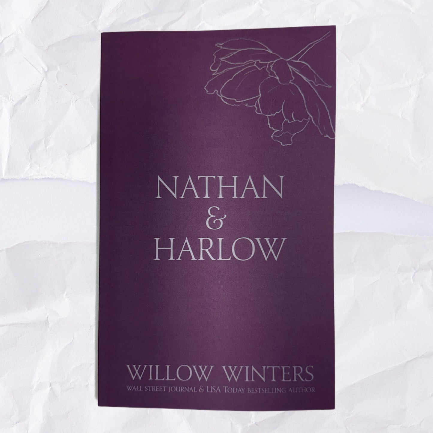 16) Nathan & Harlow: Discreet Series by Willow Winters