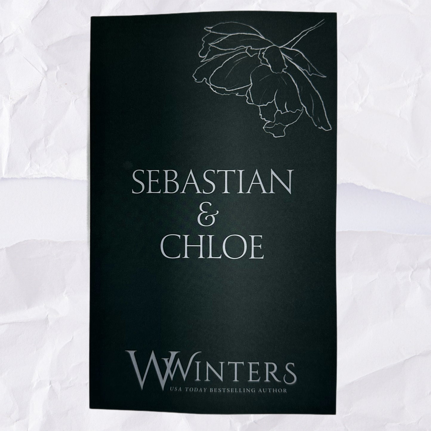 29) Sebastian & Chloe: Discreet Series by Willow Winters