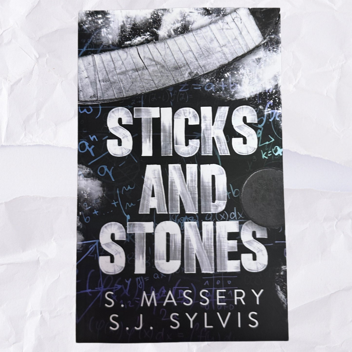 Sticks and Stones (Shadow Valley U #1) by S. Massery & S.J. Sylvis
