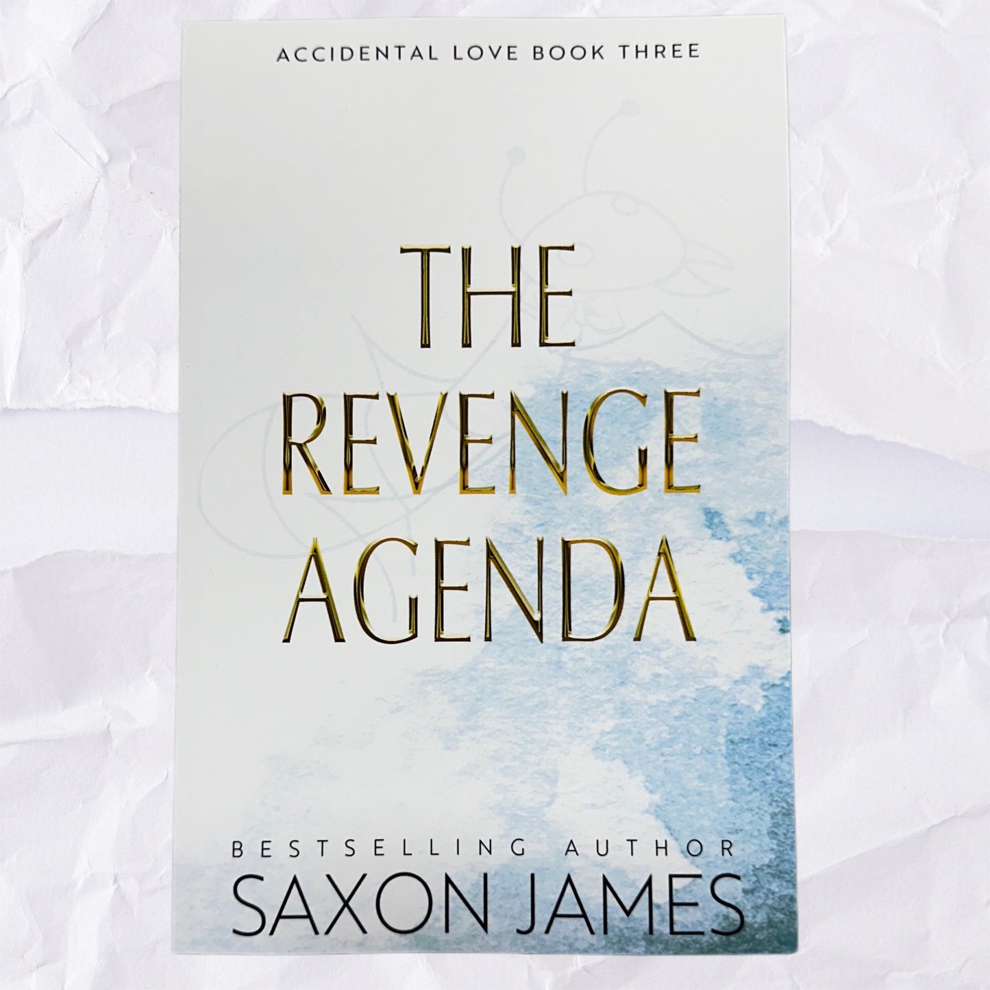 The Revenge Agenda (Accidental Love #3) by Saxon James