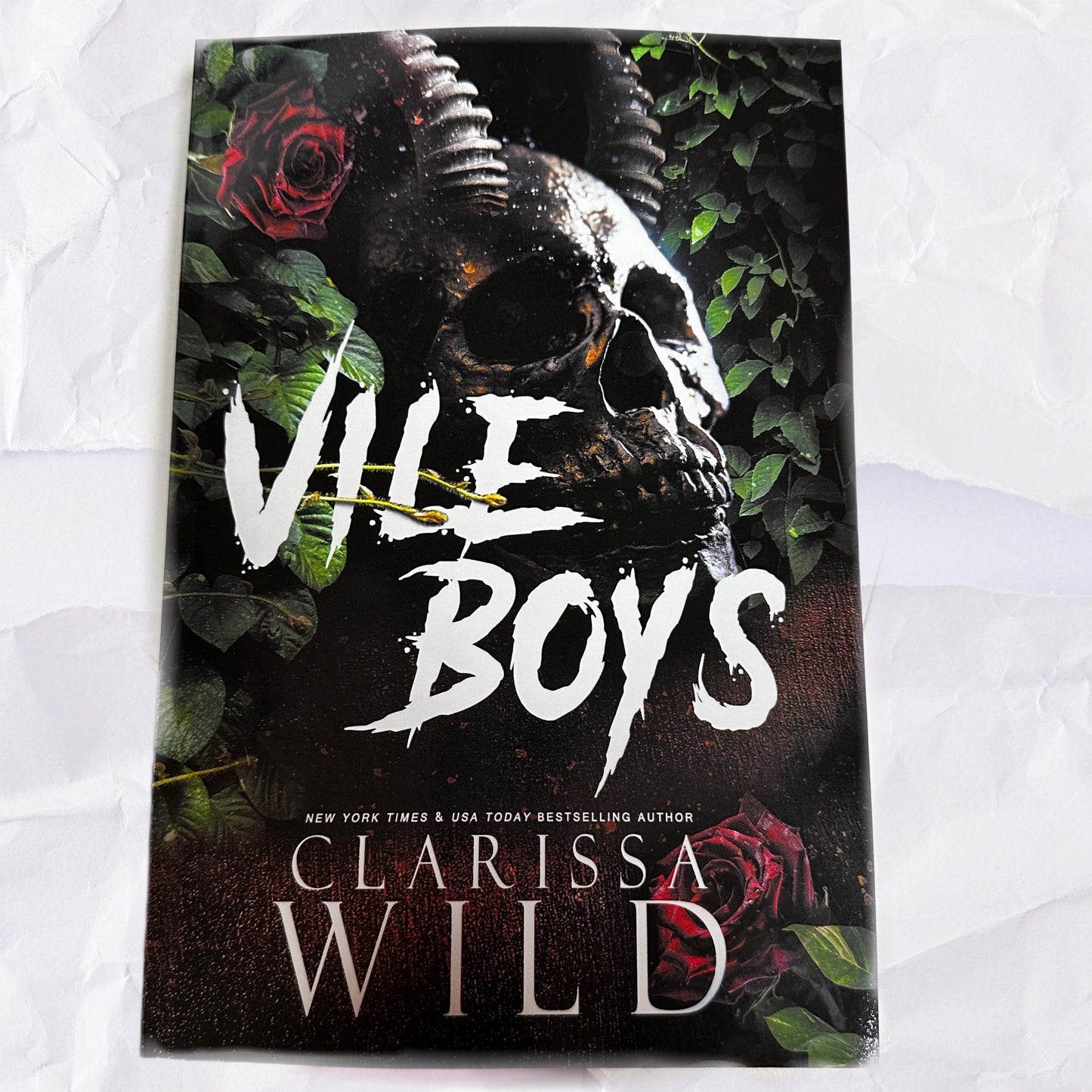 Vile Boys (Spine Ridge University #3) by Clarissa Wild
