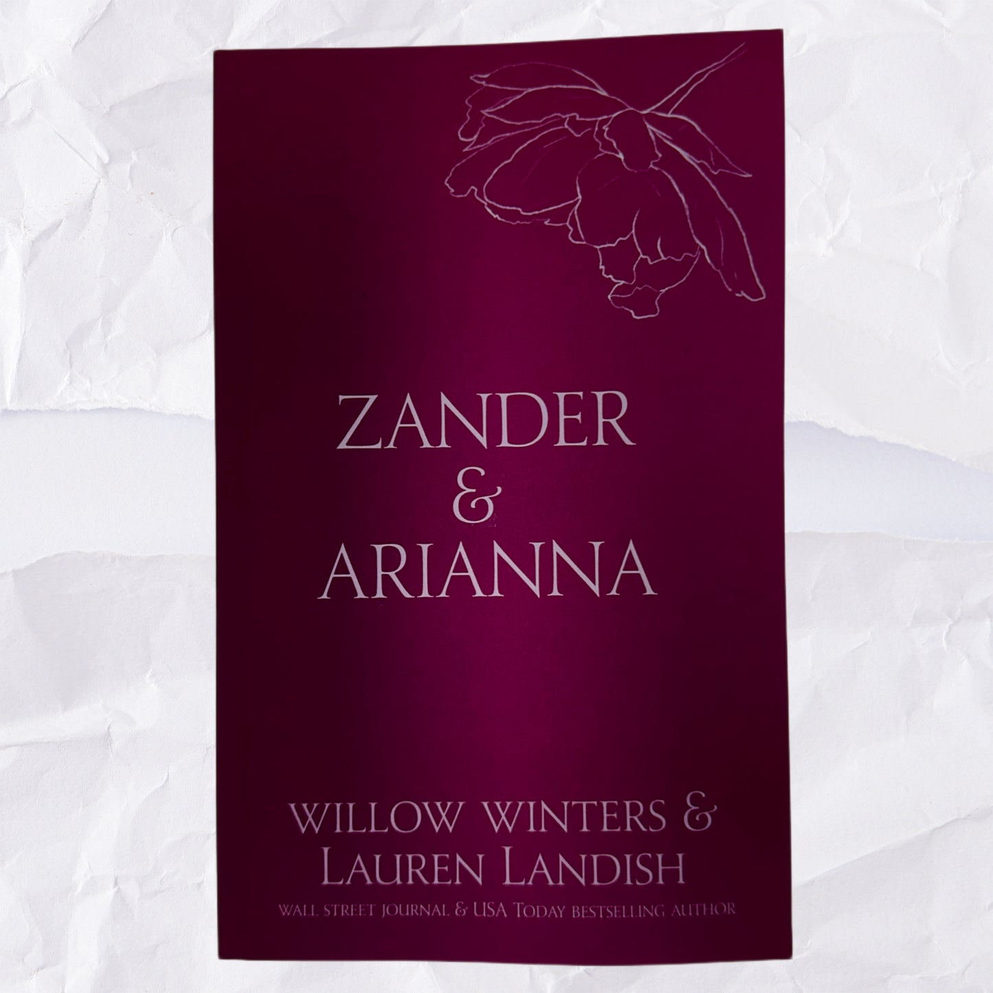 11) Zander & Arianna: Discreet Series by Willow Winters