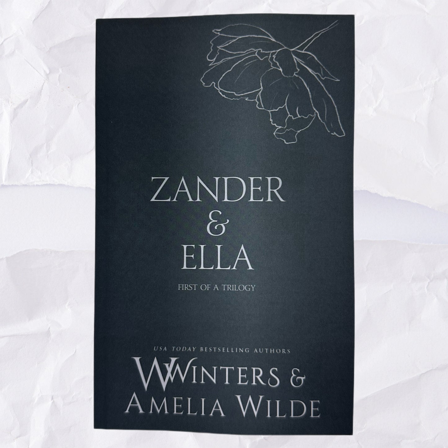 45) Zander & Ella - First of a Trilogy: Discreet Series by Willow Winters