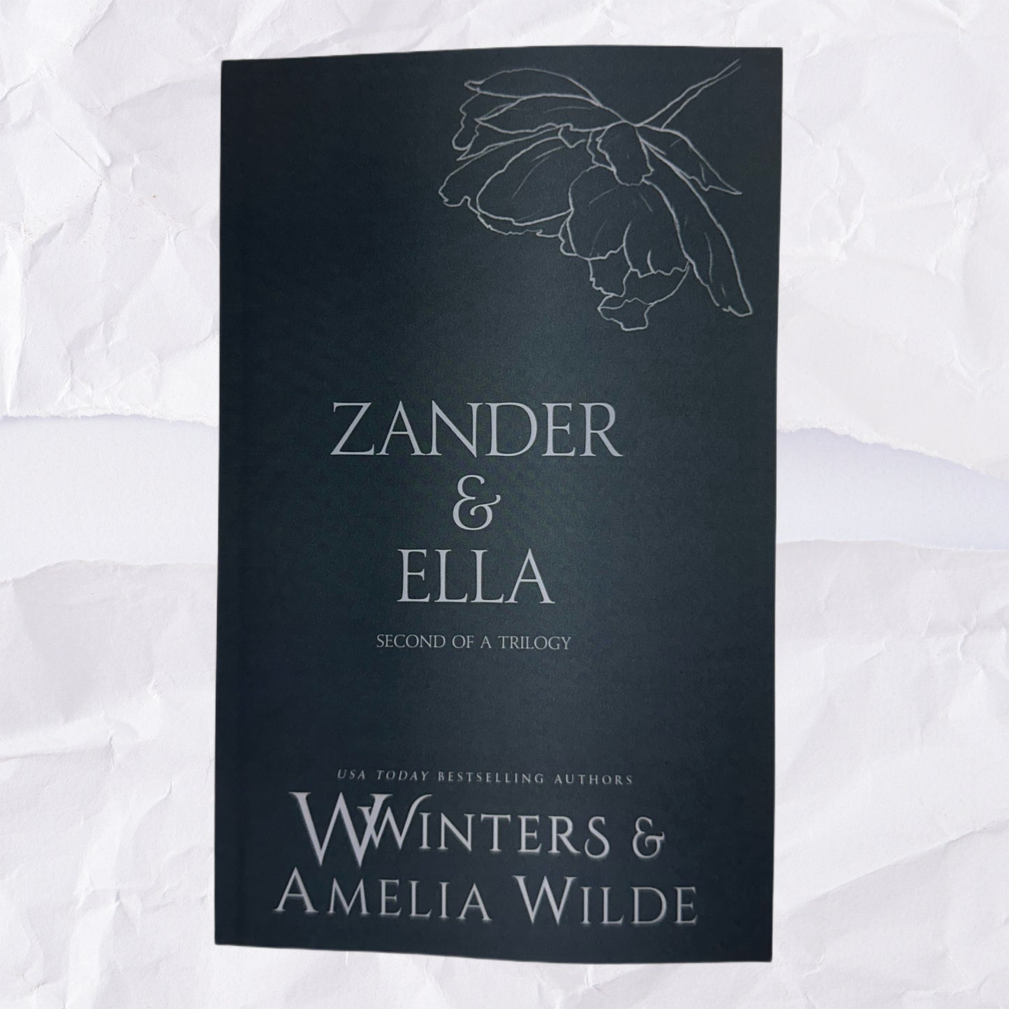 46) Zander & Ella - Second of a Trilogy: Discreet Series by Willow Winters