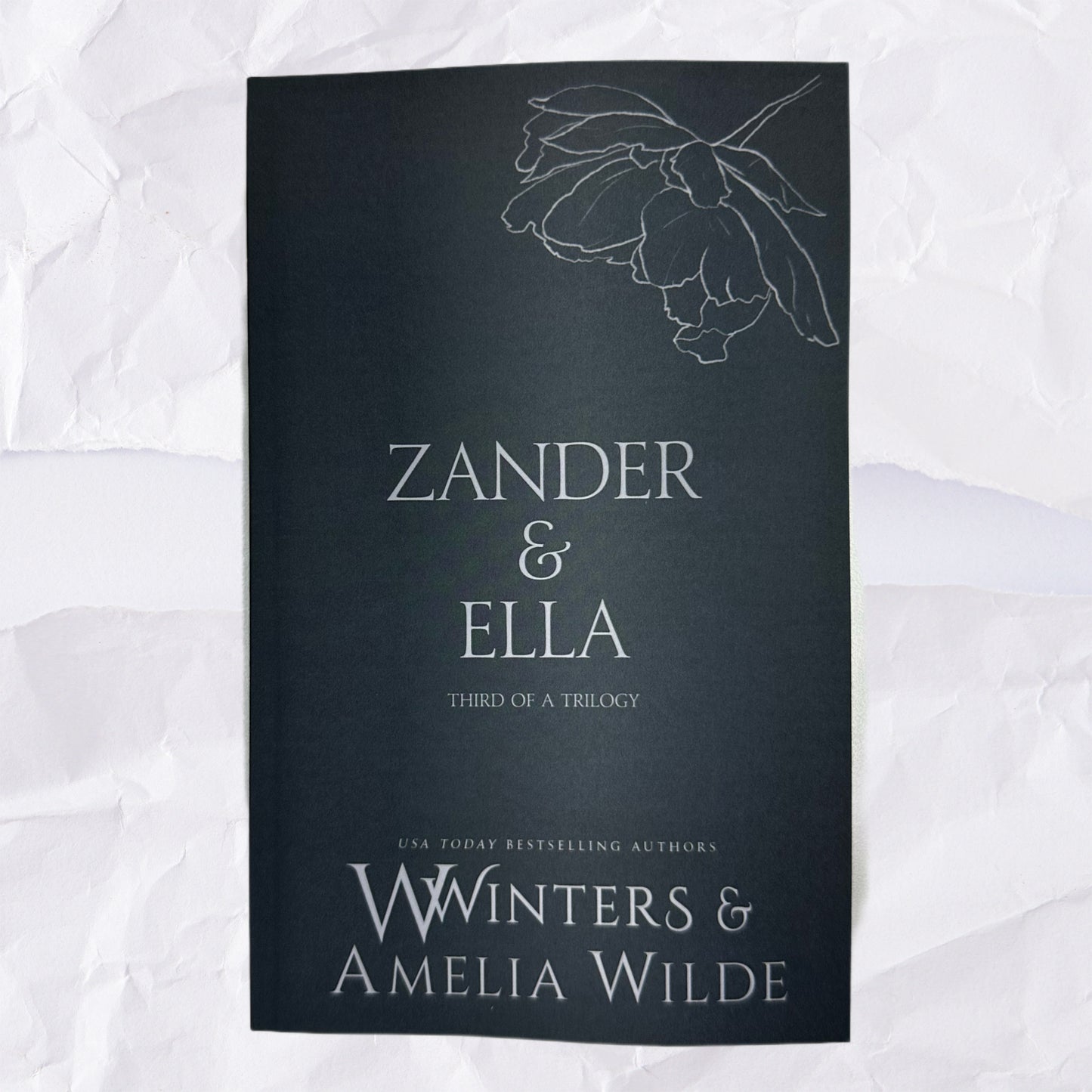 47) Zander & Ella - Third of a Trilogy: Discreet Series by Willow Winters