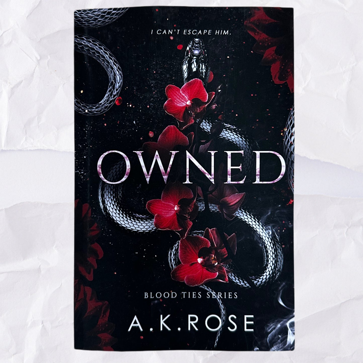 Owned (Blood Ties #4) by A.K. Rose